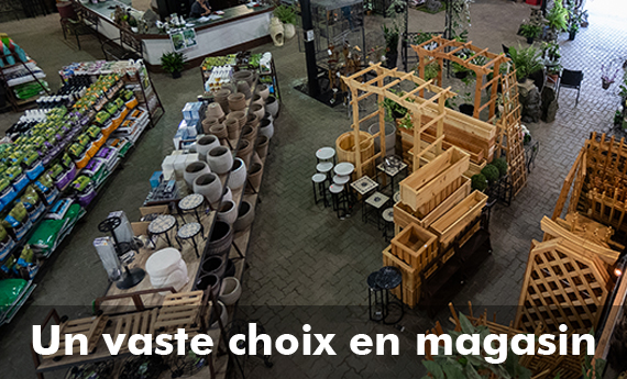 Un vaste choix en magasin, visitez Les Jardins Trépanier